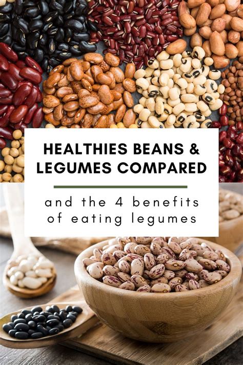 plant based food ideas the 11 healthiest beans and legumes compared healthy beans beans food