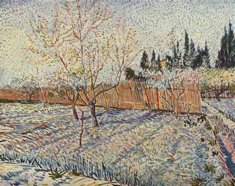 Gro Bild Vincent Willem Van Gogh Obstgarten Mit Zypressen