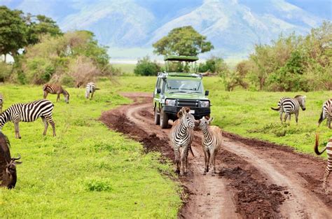 Safari Through 3 Of Tanzania S Most Famous National Parks