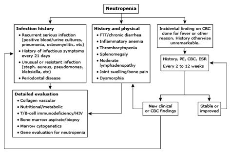 Neutropenic Fever