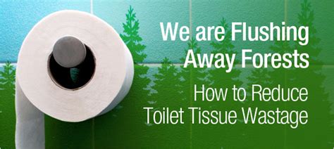 Bchs Toilet Tissue Waste BUNZL Cleaning Hygiene Supplies Blog