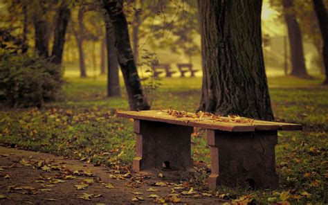 Nature Landscapes Leaves Trees Park Bench Path Roads Garden Autumn Fall