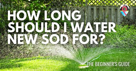 How Long Should I Water New Sod For The Beginners Guide