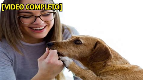 señales de que tu perro te ama [video completo]😱 youtube