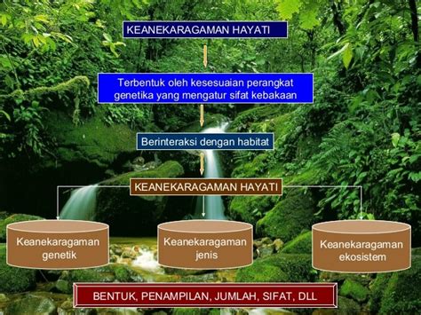 Arti Penting Keanekaragaman Hayati Dalam Kehidupan Sehari-Hari – Pelajaran Sekolah Online