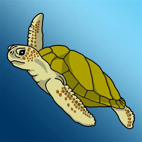 Cartoon Sea Turtle Sea Turtle Cartoon Clipart 2 Image 41067