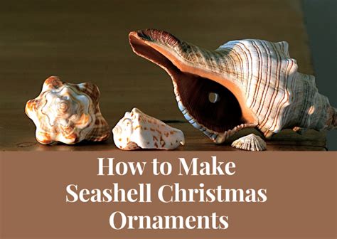 How To Make Seashell Christmas Ornaments Holidappy