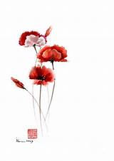 Red Poppy Flower Wall Art Images