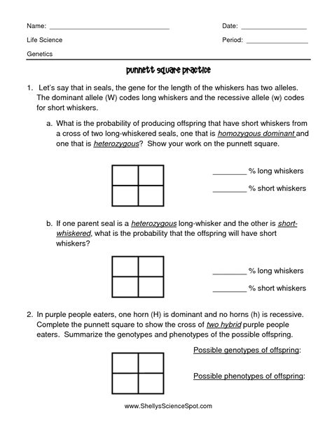 A punnett square is a graphical representation of the possible genotypes of an offspring arising from a some terms are often used in the study of genetics and these are particularly useful in understanding the. 15 Best Images of Printable Genetics Worksheets ...