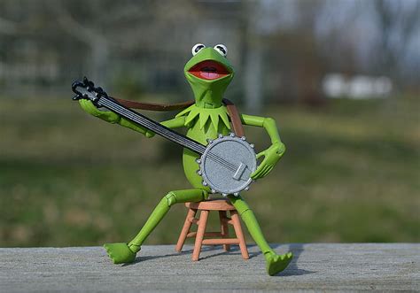Royalty Free Photo Kermit The Frog Playing Banjo Pickpik