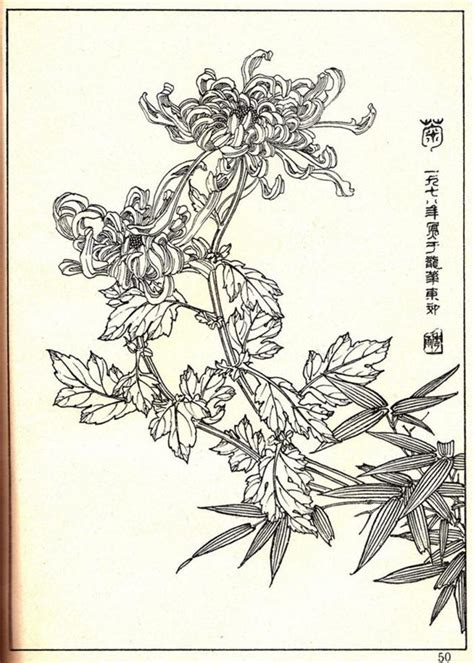 美术书影：白描花卉图谱赏析 每日头条