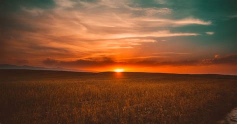 Grass During Sunset · Free Stock Photo