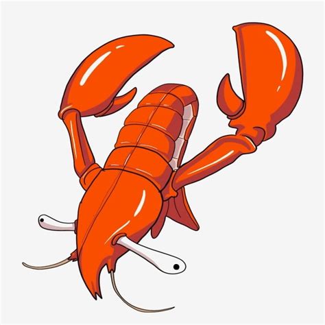 Download now gurita cumi cumi cumi cumi sebagai makanan gambar png. Lobster Udang Karang Kartun Udang Merah Ilustrasi Lobster ...