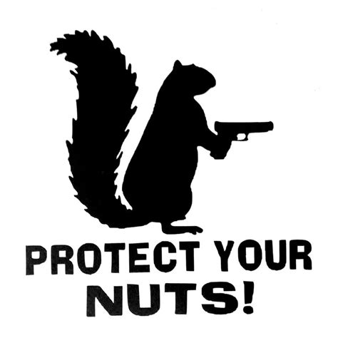 129x127cm Funny Squirrel Protect Your Nuts Car Stickers Auto Window