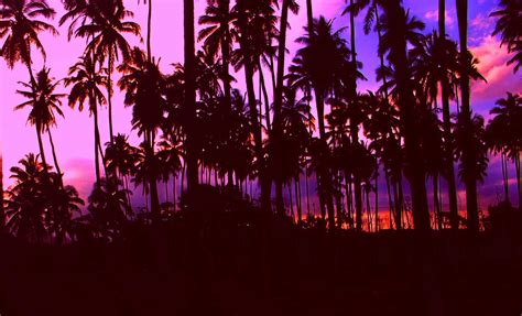 Classic Kauai Purple Sunset Hawaii Pictures