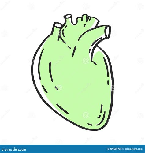 The Heart Is A Human Organ Vector Illustration Of A Medical Hand Drawn