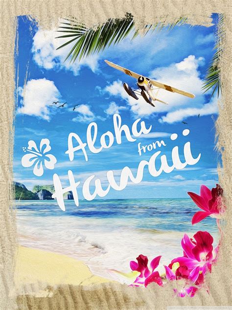 🔥 48 Aloha Wallpaper Wallpapersafari