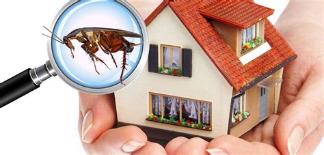 The cost of a building and pest inspection will vary from state to state, and inspectors operating in metropolitan areas will generally charge more how long does a building inspection take? Are Building And Pest Inspections Really Important ...