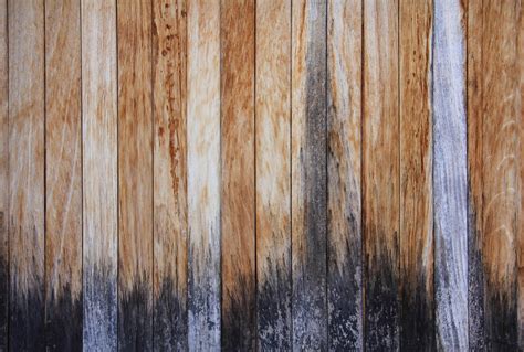Download Wood Texture Hd Background Wallpaper 65642 2903x1959 Px High