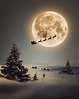 A Christmas dream! Photo/edit by @imaginaryworld86 Explore. Share ...