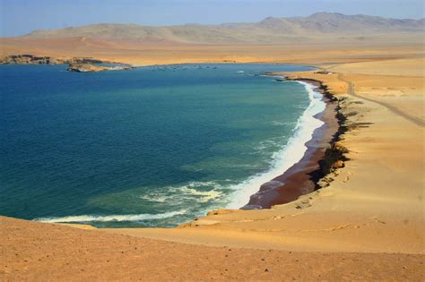 Ballestas Islands And The Paracas Reserve 1 Day From Lima Peru