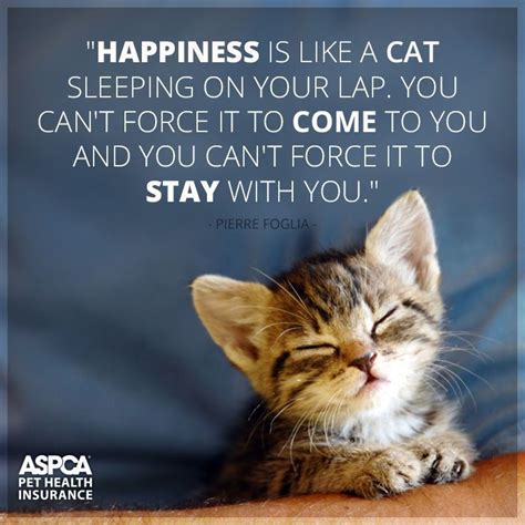 Последние твиты от aspca pet insurance (@aspcapetins). Pet Insurance for Dogs & Cats with ASPCA Pet Health ...