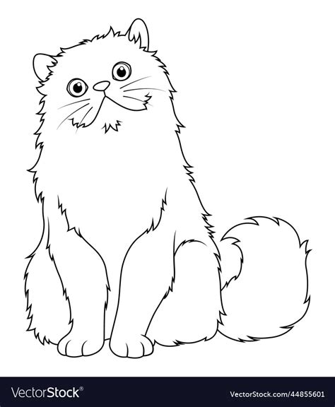 Persian Cat Cartoon Animal Bw Royalty Free Vector Image