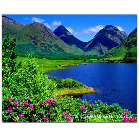 Beautiful Scenery Images With Flowers