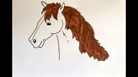Pferd Malen Vorlage Kinder Fohlen Malen Ausgeschnittene Stockfotos