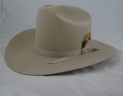 Vintage Stetson Stallion Cowboy Hat Silverbelly Etsy