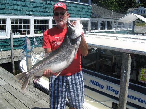 Lake Trout Limit Includes 24 Lb Lake Trout Milky Way Fishing Charters