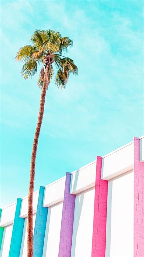 199 Best Palm Trees Images On Pinterest