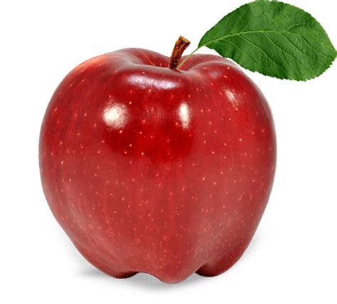 Apple Fruit Apple Png Download 19201737 Free Transparent Apple
