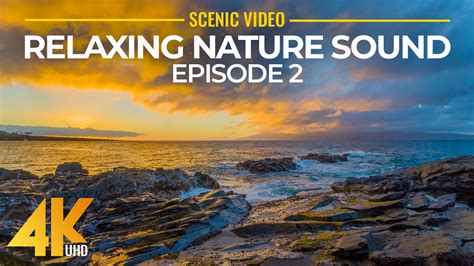 Relaxing Hawaiian Nature Sounds Part 2 Proartinc