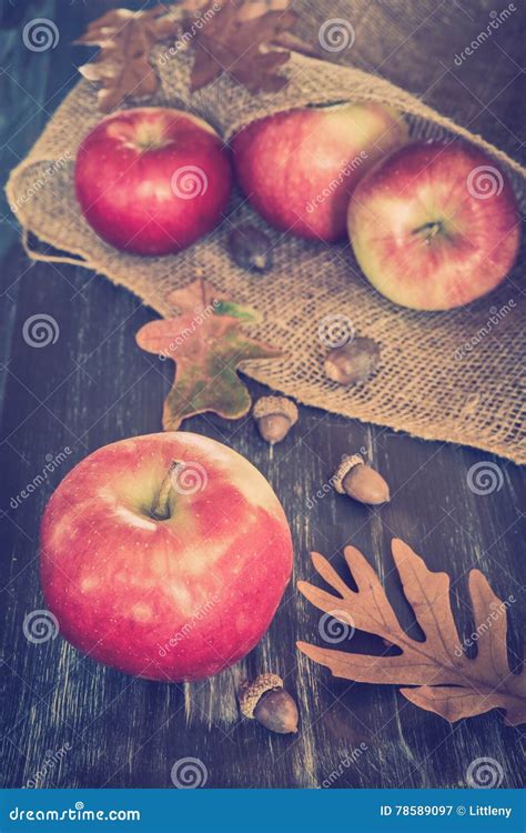 Fall Apples Stock Image Image Of Fruit Harvest Health 78589097