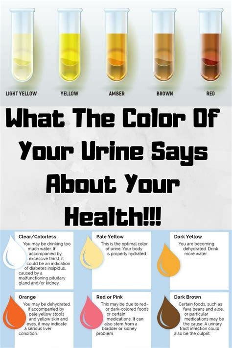What The Color Of Your Urine Says About Your Health Wellness Magazine