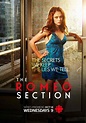 The Romeo Section TV Poster (#2 of 6) - IMP Awards