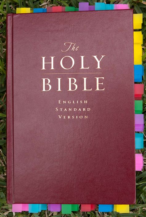 Child Training Bible Giveaway Confessions Of A Homeschooler