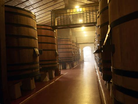 Guided Tour · The Winery Inside Muga Winery