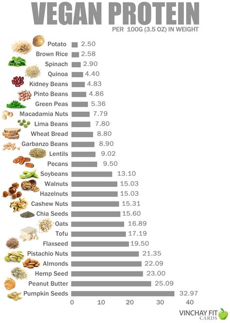 vegan nutritional plant protein infographic