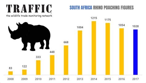South Africa Rhino Poaching In 2017 Almost Matches 2016 Scoop News