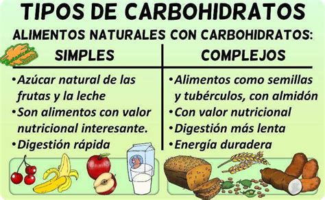 Tabla Clasificación De Los Carbohidratos Botanical Online