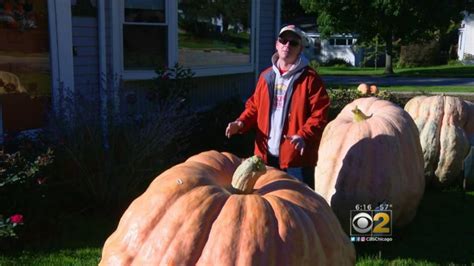 Man Grows Biggest Pumpkin In Illinois