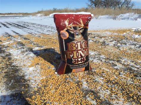 Taking Post Season Inventory With Big Tine Fortified Deer Blend Part 1