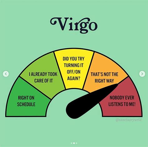 29 Perfect Virgo Memes Youll Only Get If You Are One Darcy