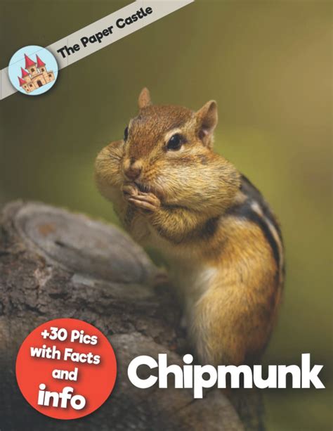 Chipmunk Facts Animal Information Books For Kids With High Quality