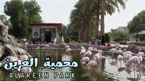 محمية العرين Alareen Wildlife Park Bahrain Youtube