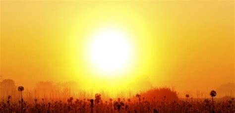 Berkata bahwa jibril datang kepada nabi saw. Silsilah Sejarah Pernikahan Nabi shalallahu 'alaihi wa ...