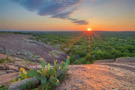 Prickly Pear Sunset In The Texas Hill Country 1 Photograph By Rob