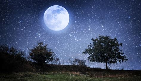Full Moon Magic: Harness Lunar Energy for Healing - Blog ...